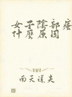 女子阴部瘙痒是什么原因