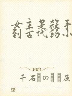 女主是杀手穿越到古代的小说