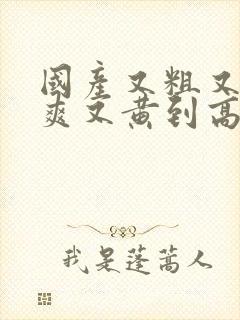 国产又粗又猛又爽又黄到高潮视频