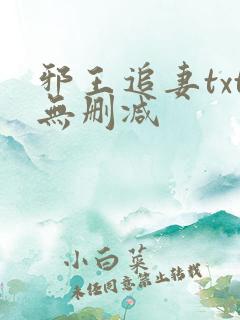 邪王追妻txt无删减