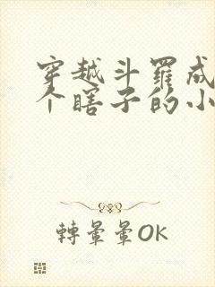 穿越斗罗成了一个瞎子的小说