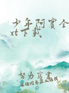 少年阿宾全集txt下载