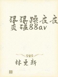狠狠躁夜夜躁人爽碰88av