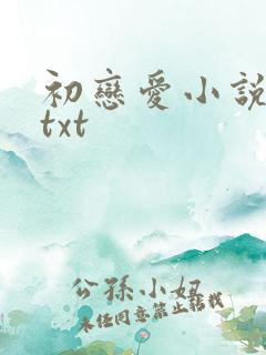 初恋爱小说下载txt