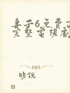 妻子6免费高清完整电视剧情