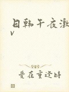 日韩午夜激情av