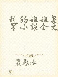 我的姐姐是大明星小说全文免费阅读笔趣阁