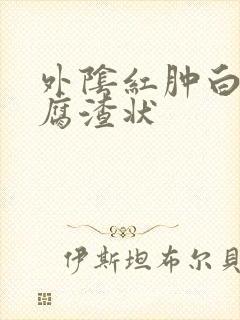 外阴红肿白带豆腐渣状