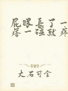 屁眼长了一个疙瘩一碰就疼