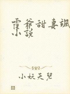 霍爷甜妻飒爆了小说