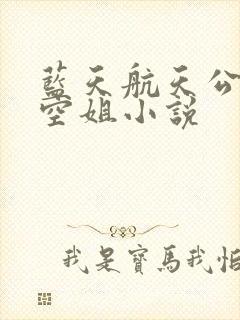 蓝天航天公司的空姐小说