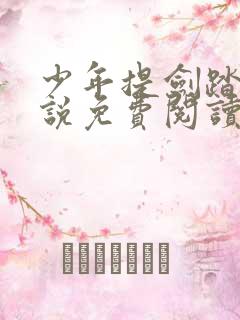 少年提剑踏苍小说免费阅读无弹窗