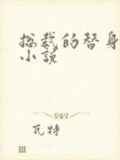 总裁的替身甜妻小说