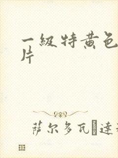 一级特黄色录像片