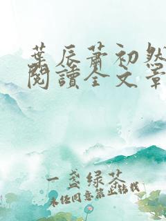 叶辰萧初然免费阅读全文章节