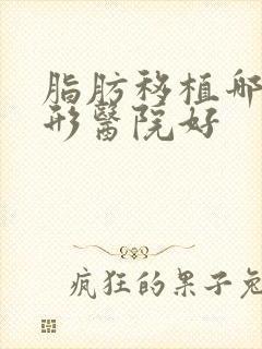 脂肪移植哪家整形医院好