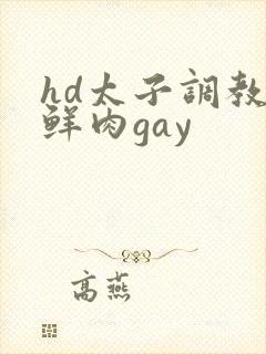 hd太子调教小鲜肉gay