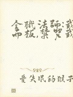 全职法师:武道面板,禁咒武神