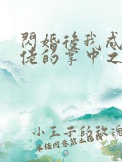 闪婚后我成了大佬的掌中之物》