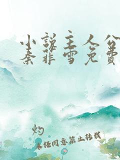 小说主人公沈浩秦菲雪免费阅读全文最新章节