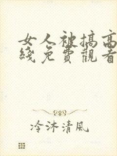 女人被搞高潮在线免费观看