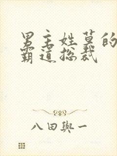 男主姓莫的小说霸道总裁