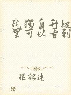 我独自升级在哪里可以看到