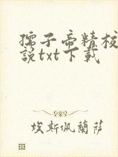 孺子帝精校版小说txt下载