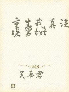 重生我真没想当暖男txt