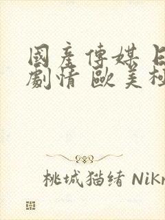 国产传媒 日韩剧情 欧美极品