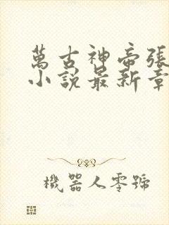 万古神帝张若尘小说最新章节精校版