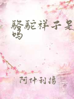 骆驼祥子是散文吗