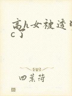 高h女被透明人c了