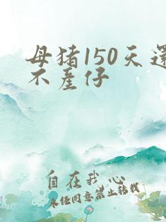 母猪150天还不产仔