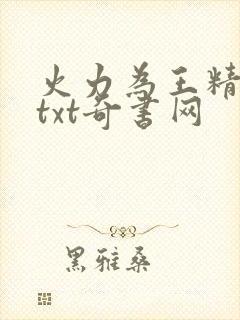 火力为王精校版txt奇书网