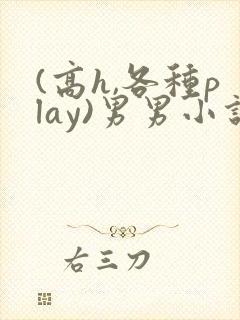 (高h,各种play)男男小说