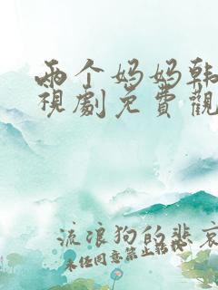 两个妈妈韩剧电视剧免费观看播放