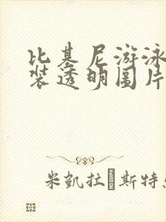 比基尼游泳衣女装透明图片大全