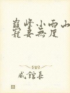 巅峰小雨山里汉宠妻无度