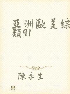 亚洲欧美综合另类91