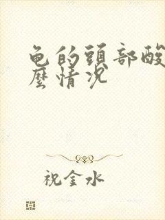 龟的头部酸痛什么情况