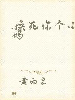 .操死你个小逼妈