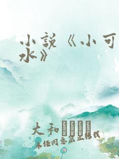 小说《小可的奶水》
