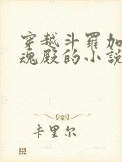 穿越斗罗加入武魂殿的小说有哪些