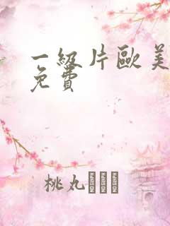 一级片欧美久久免费