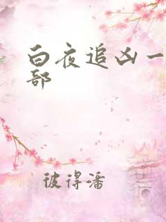 白夜追凶一共几部