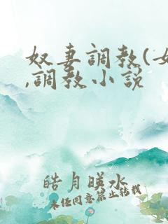 奴妻调教(女m,调教小说