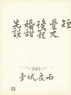 先婚后爱短篇小说甜宠文