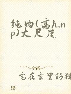 纯肉(高h.np)大尺度