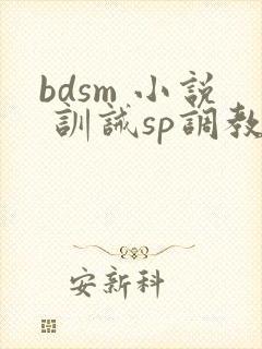 bdsm 小说 训诫sp调教